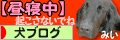 にほんブログ村 犬ブログへ