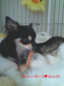 200807162015000.jpg
