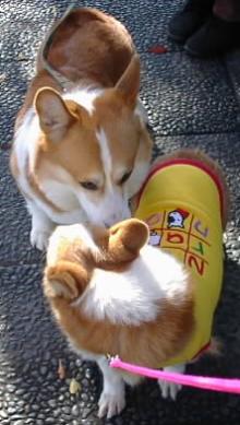 ご対面♪