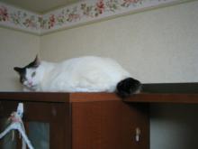 ８．９．１０…シビル&dodici&Treize