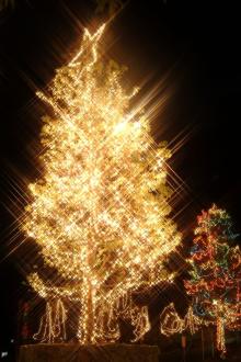 X'mas Song & イルミネーション☆素敵な夜景