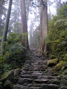 大滝への道