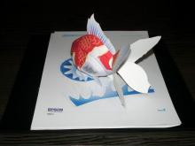 EPSON　Gold Fish Papermodel