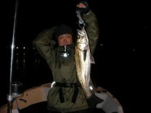 seabass-advantage under