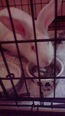 wakuworking Aya's Blog-2009011221300000.jpg