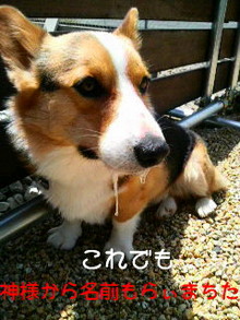 2008060200460000.jpg
