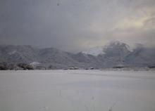 20080218雪01