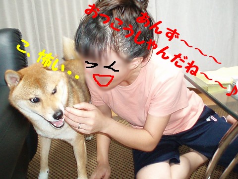 怖い