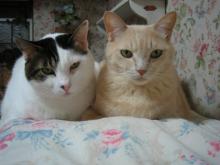 ８．９．１０…シビル&dodici&Treize
