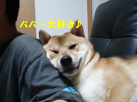 パパ大好き