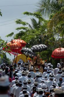 bali01