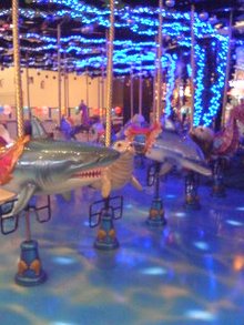 080925_1610~01.jpg