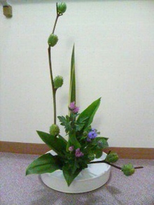 20070823201723.jpg