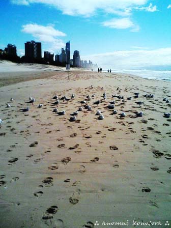beach