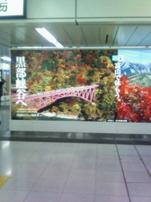 200809092053000.jpg