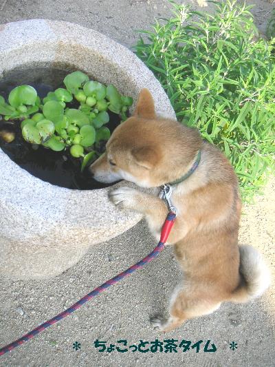 200707040140.JPG