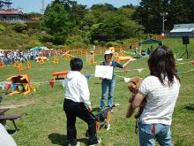 rokko2