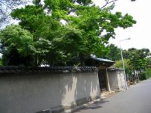 谷中墓地