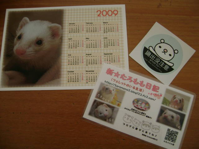 フェレットまーちゃんのおねんね
