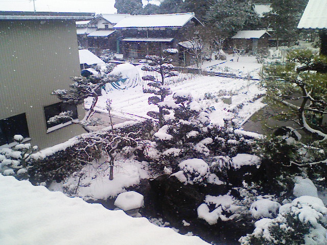 琴音と姫花の珍道中♪　　～親子奮闘記～-200902170906000.jpg
