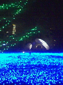 fruition　　～３６５日なにを思う？！～-081223_2031~01.jpg