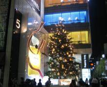 シャネル・クリスマスツリー全景