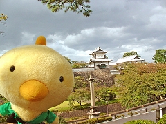 高山・金沢 古都めぐり