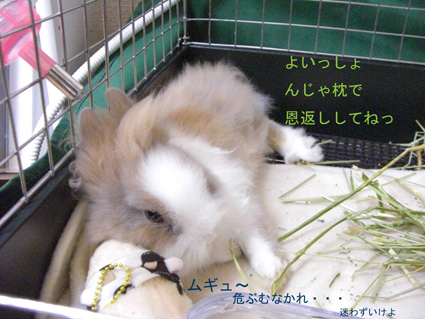 PUNKUNのきもち