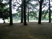 公園