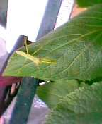 060811_100652.jpg