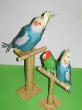 インコ