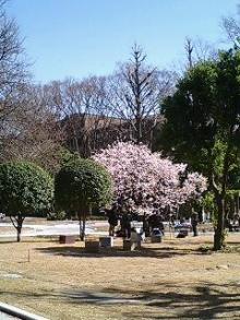 tokyouniv2