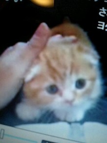 キラキラ世界*独り言-081120_0007~0001.jpg