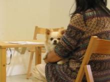 DogLifeDesignな仲間たち