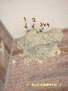 200706160180.JPG