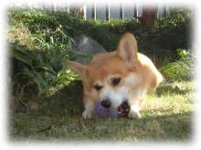 20051120_1