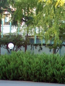 081018_1624~01.jpg