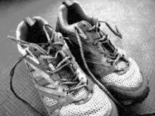 trailwalker3