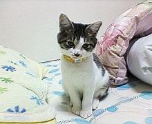 記念撮影ですにゃ