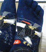 050625-2037.jpg
