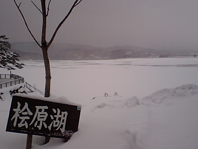 CA340593.JPG