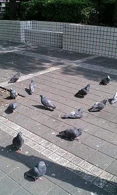 未設定