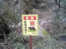 熊注意