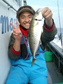 aji1