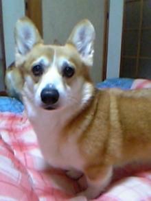 20060209