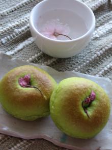 抹茶さくらあんぱん