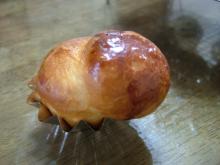 わっくわく♪パン工房