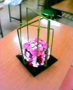 060719_151656.jpg