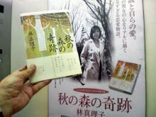 秋の森の奇跡