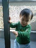 CA380308-0001.JPG